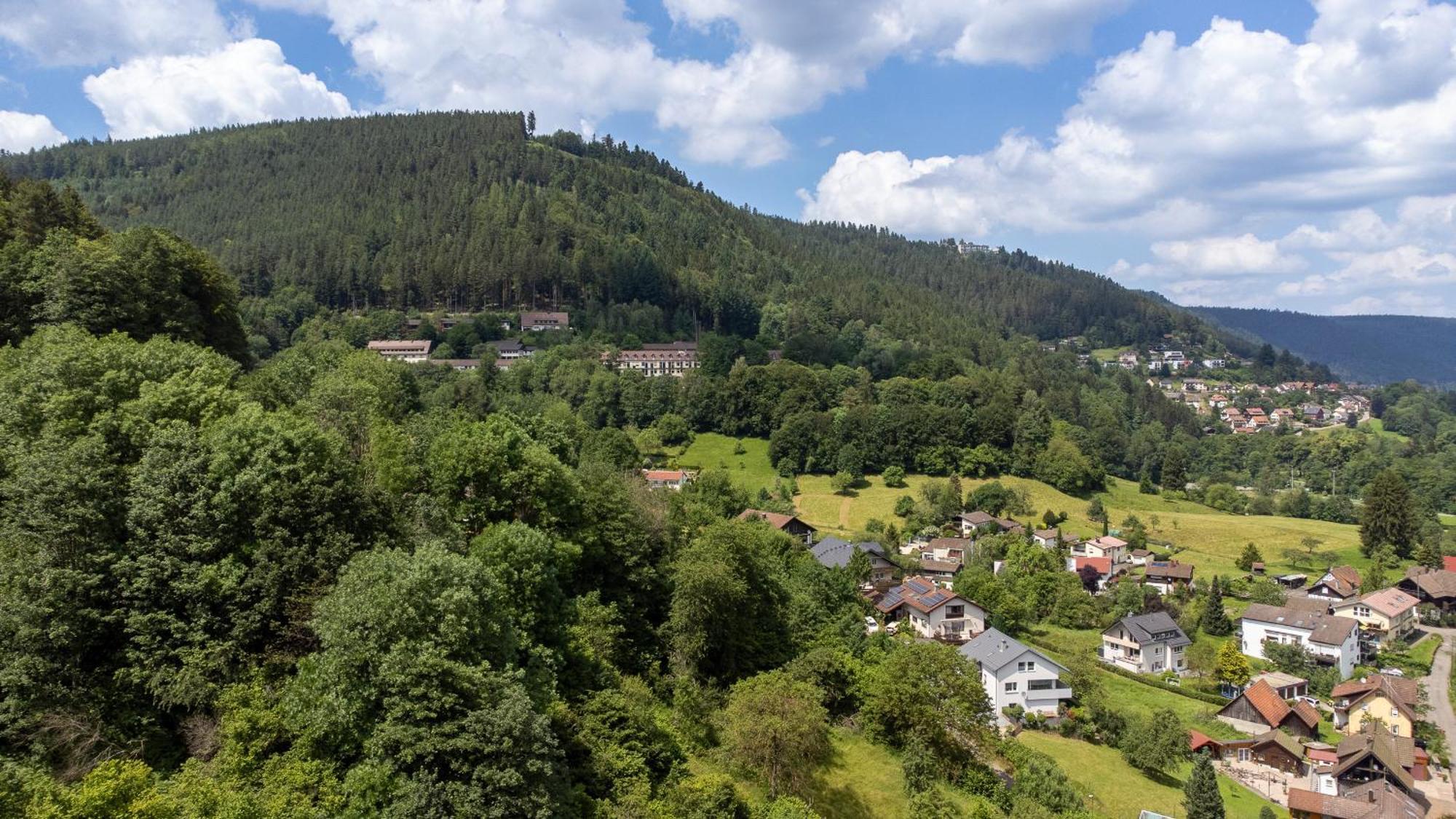 Black Forest Design Apartment Bad Wildbad Ngoại thất bức ảnh