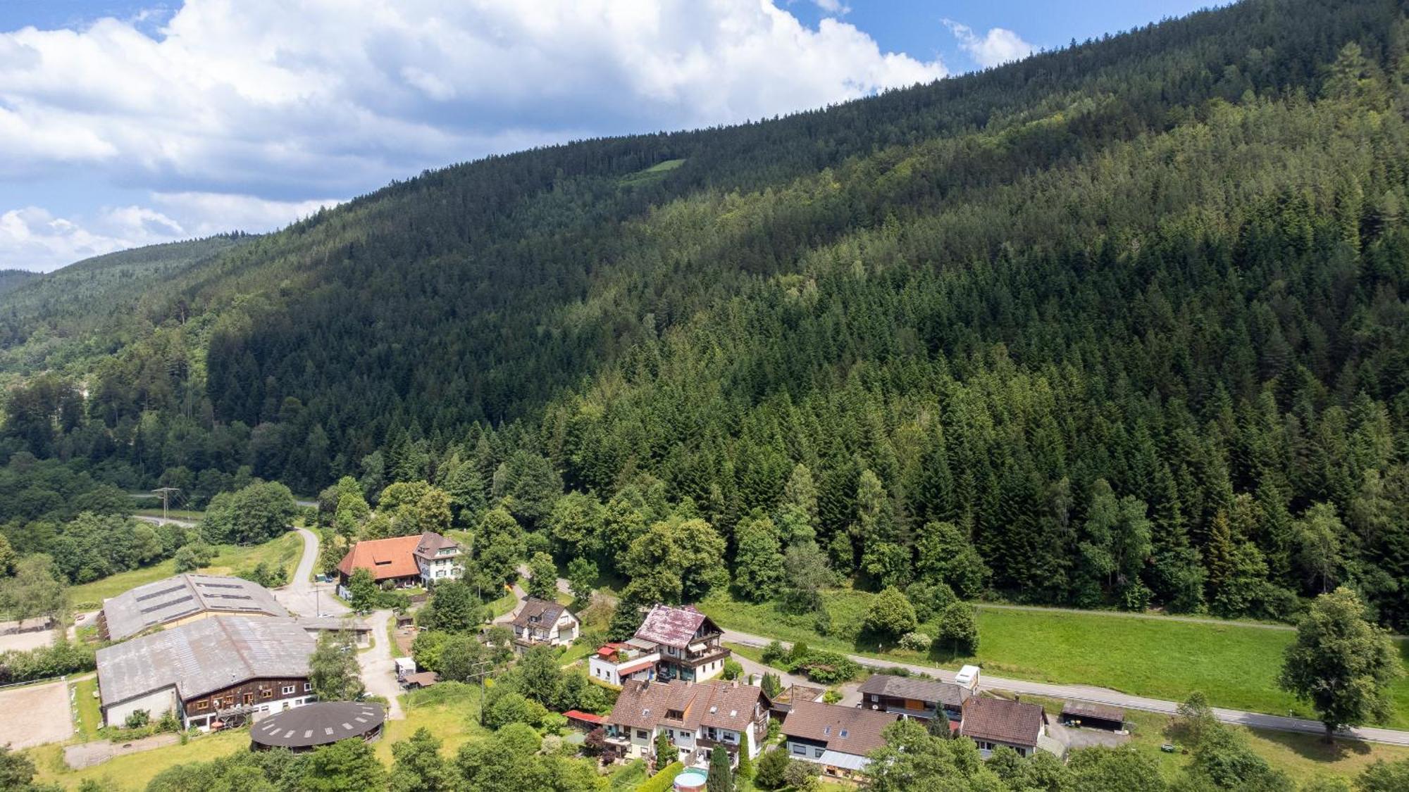 Black Forest Design Apartment Bad Wildbad Ngoại thất bức ảnh
