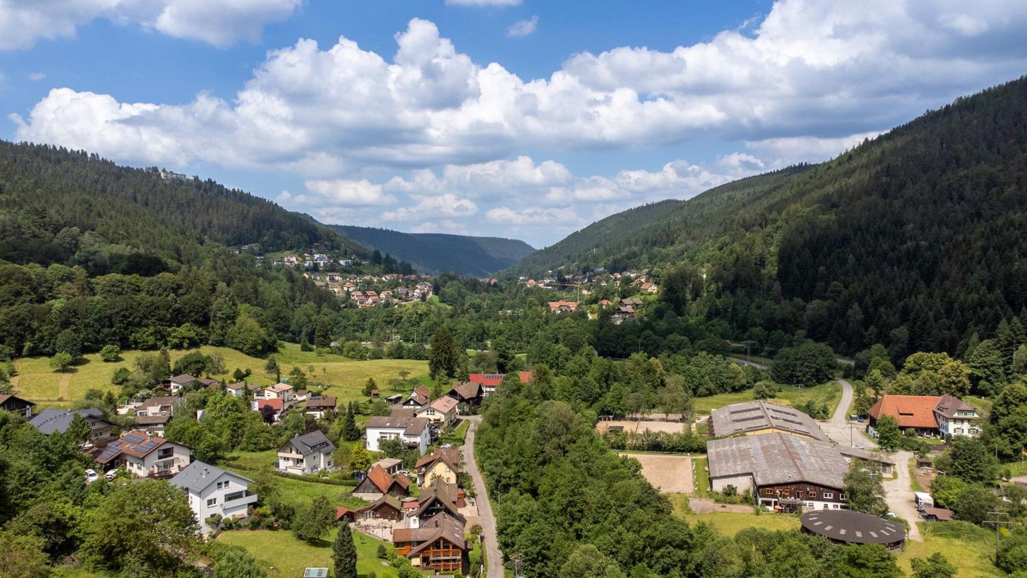 Black Forest Design Apartment Bad Wildbad Ngoại thất bức ảnh